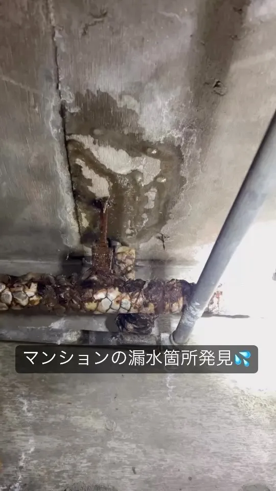 マンションの漏水箇所を特定😃